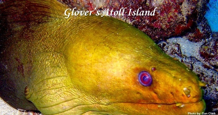 Belize, Belize travel, scuba diving, snorkeling, islands, islands in Belize, beachfront, 
